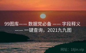 99图库—— 数据党必备 —— 字段释义 —— 一键查询，2021九九图