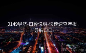 0149导航-口径说明-快速速查年报，导航口口