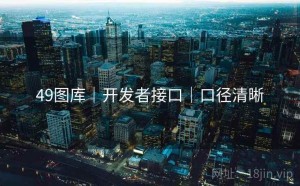 49图库｜开发者接口｜口径清晰